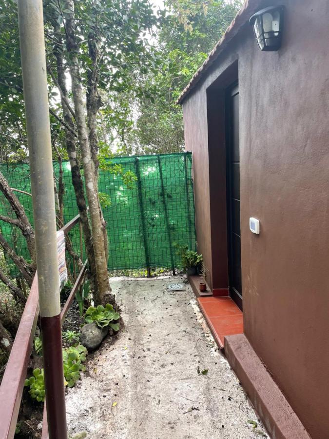 Casa Camino Los Chorros Vallehermoso Eksteriør billede